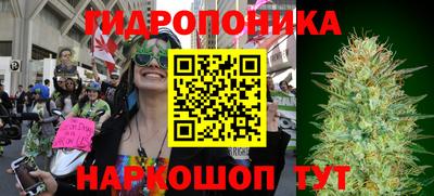 spice Пенза