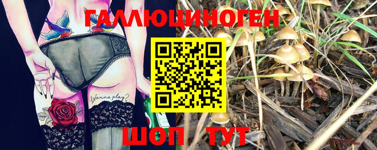 Псилоцибиновые грибы прущие грибы Шебекино