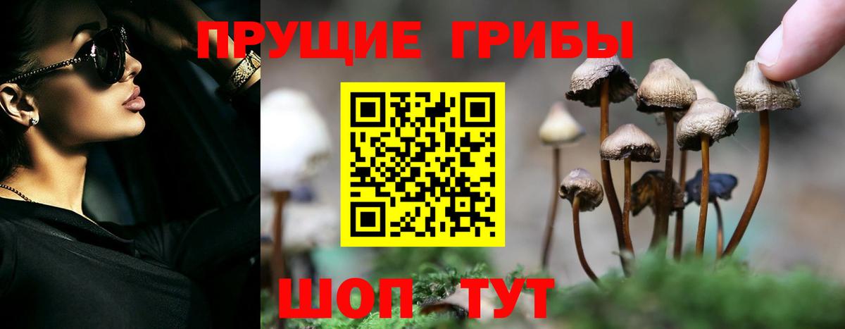 Шебекино  Псилоцибиновые грибы ЛСД  Вход с VPN  Псилоцибиновые грибы ЛСД 